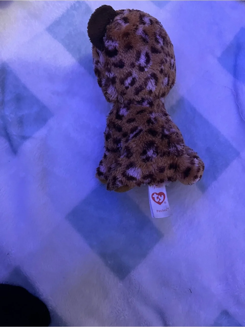 Ty Plush Pet Set -Multicolor Beanie Buddies ALL OFFERS EXPECTED ASAP!!!!!